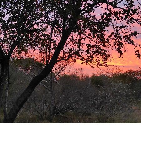 Lion King Villa Марлот Парк Екстериор снимка