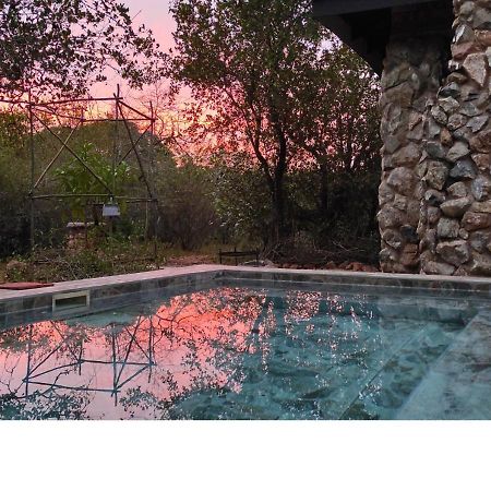 Lion King Villa Марлот Парк Екстериор снимка