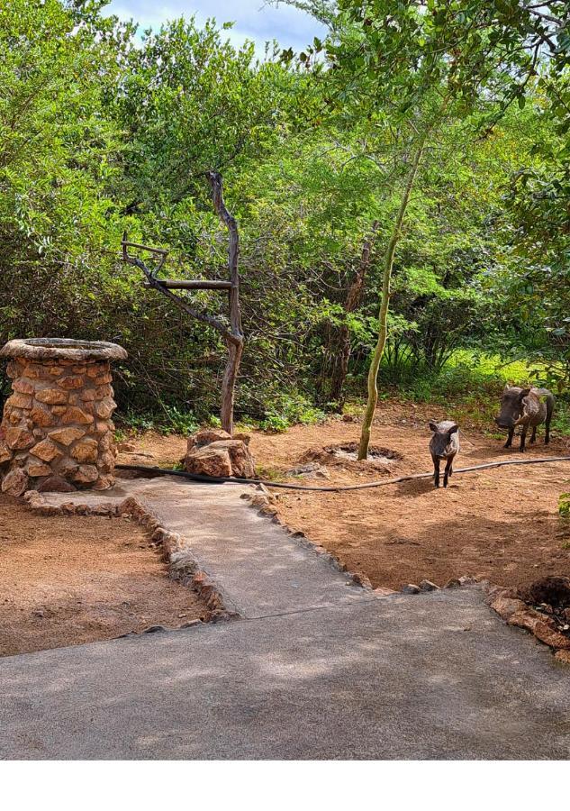Lion King Villa Марлот Парк Екстериор снимка