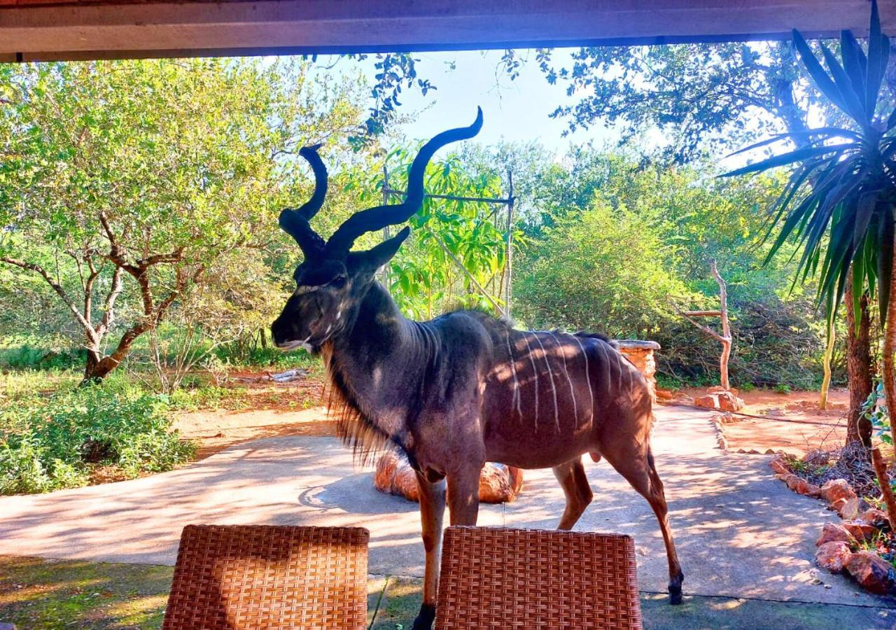 Lion King Villa Марлот Парк Екстериор снимка