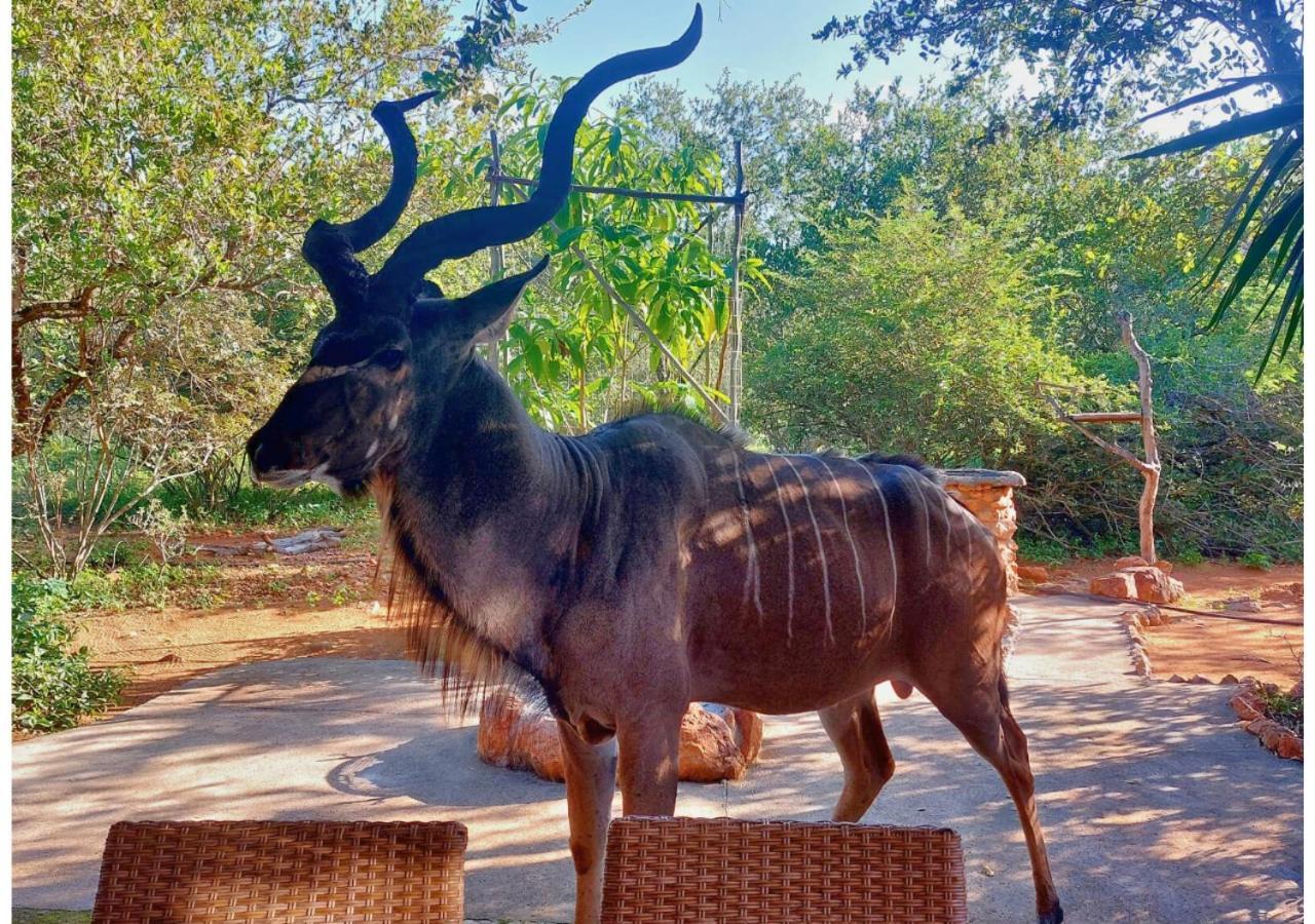 Lion King Villa Марлот Парк Екстериор снимка